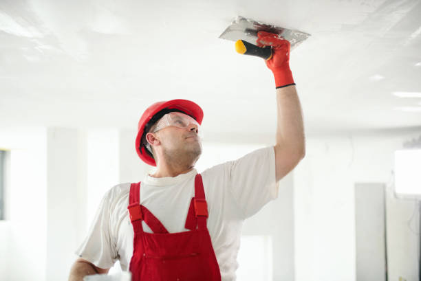 Best Drywall Removal and Disposal  in Lake Worth, TX